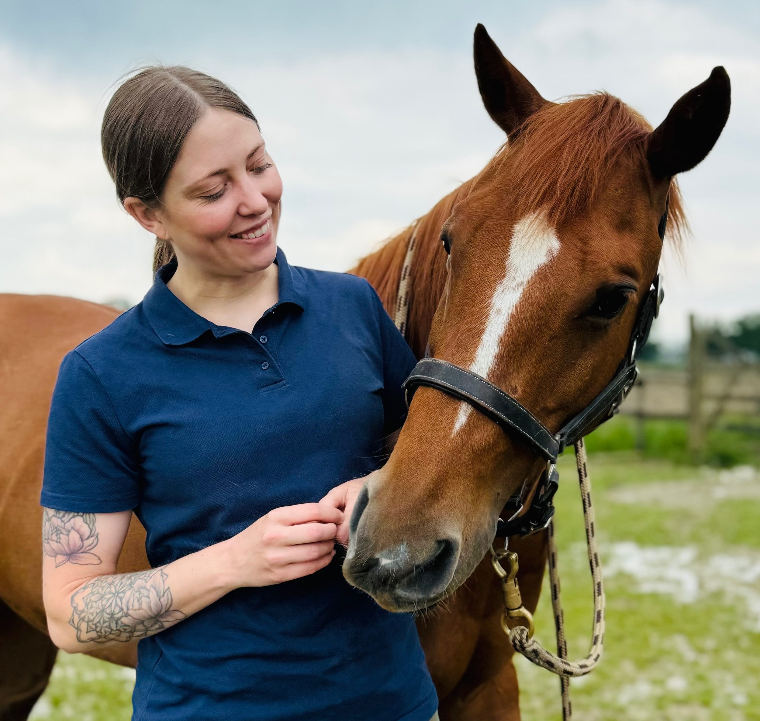 Physiotherapeutische und Osteopathische Behandlung Pferd